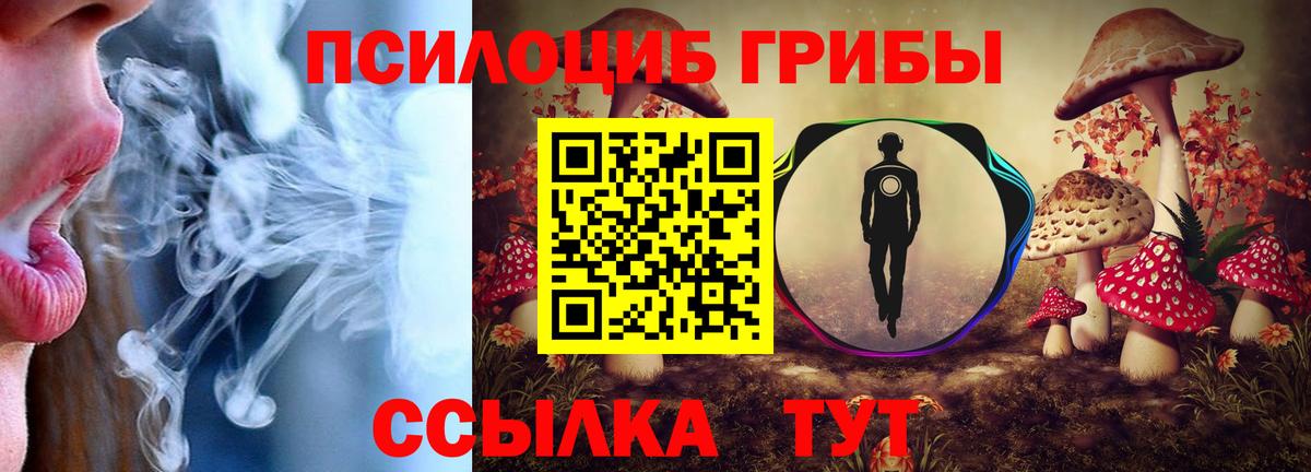 Галлюциногенные грибы Psilocybe  Псилоцибиновые грибы мухоморы  Вход с VPN  Дубна 