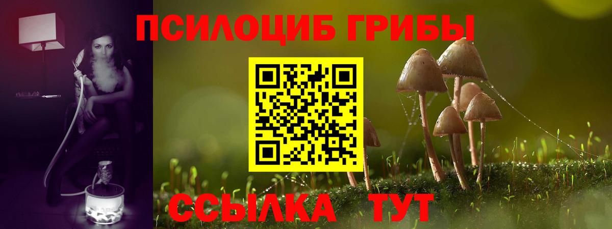 Галлюциногенные грибы мицелий Дубна